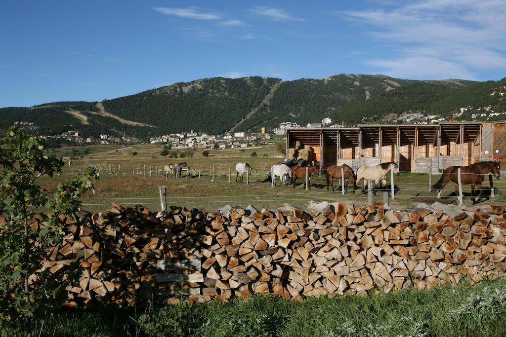 Equisud - Demi-pension Inclus * Les Angles (Pyrenees-Orientales)